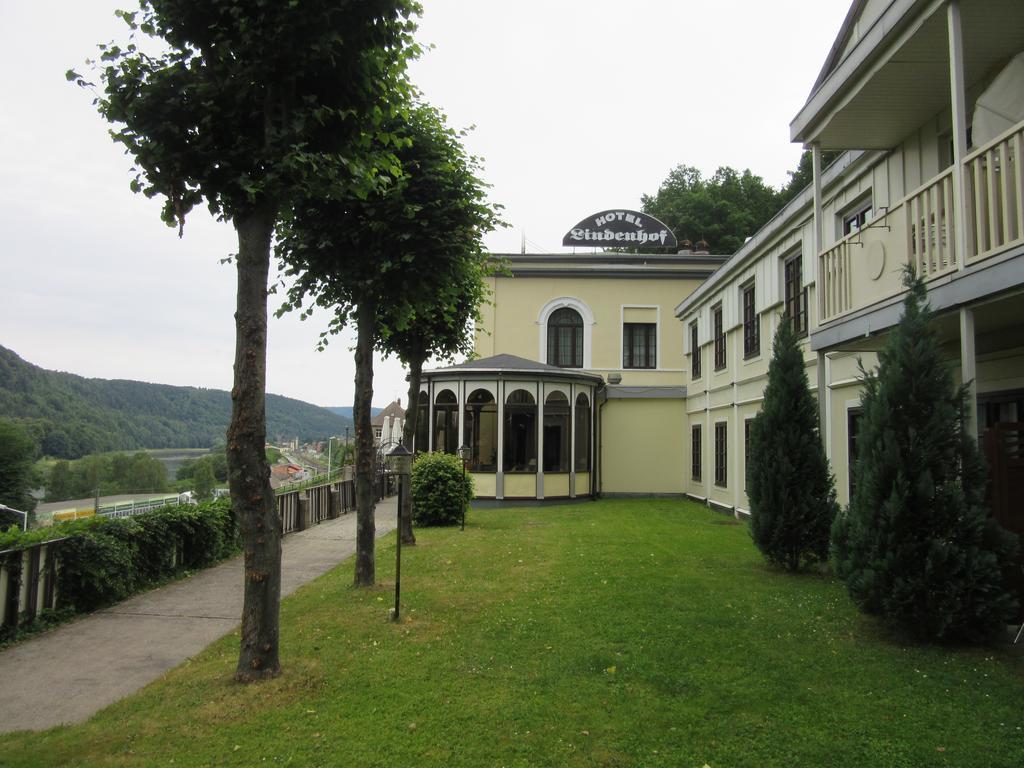 Hotel Lindenhof Königstein an der Elbe Exterior foto